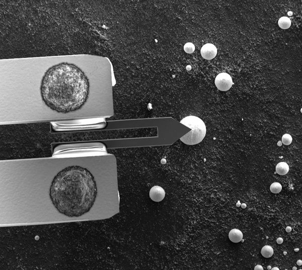 Characterization of Powders and Particles with Integrated AFM-in-SEM