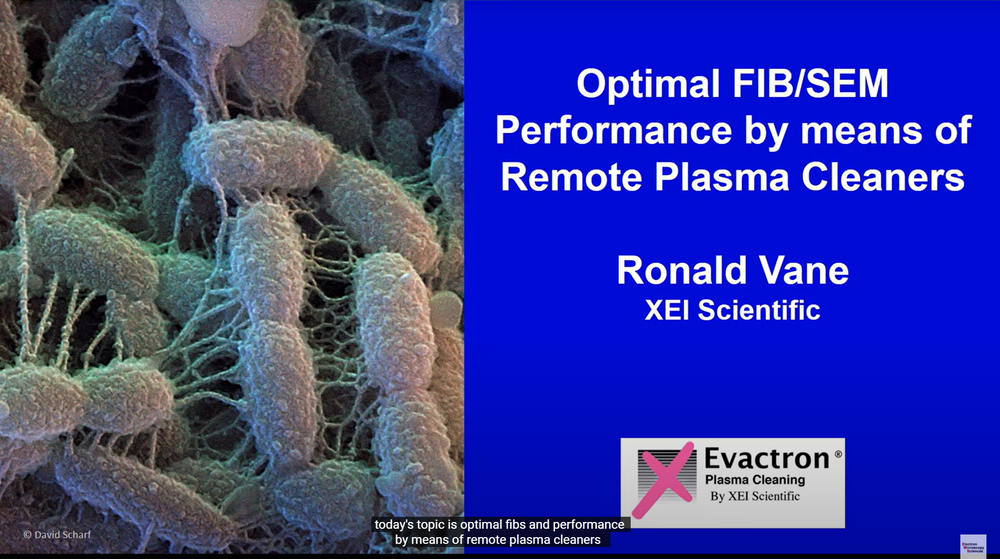 Plasma cleaning for SEM and FIB