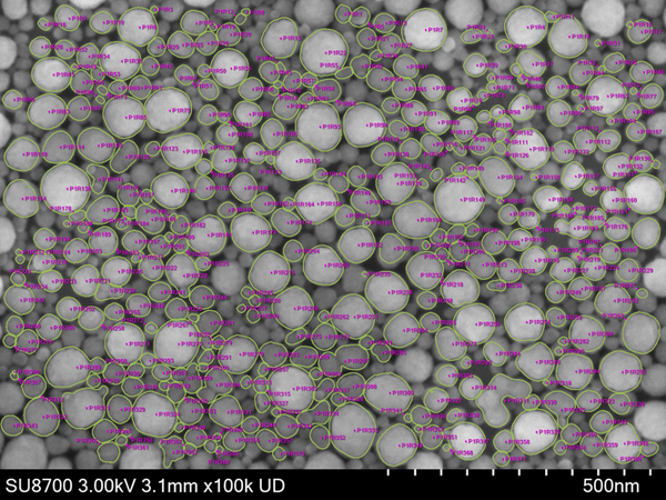 From Segmentation to Workflow: The State of AI in SEM Image Analysis
