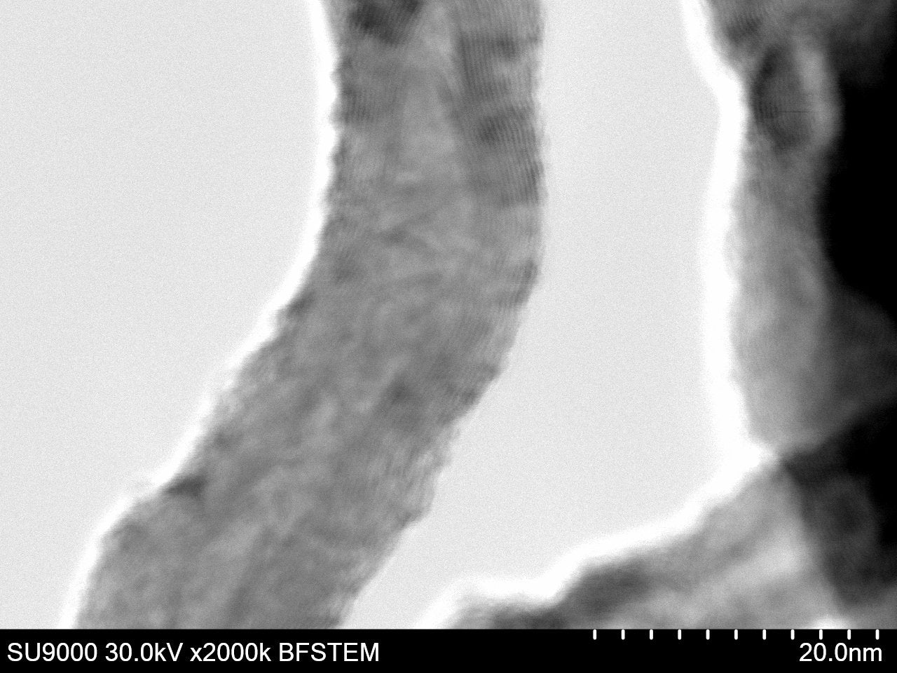 Field Emission SEM