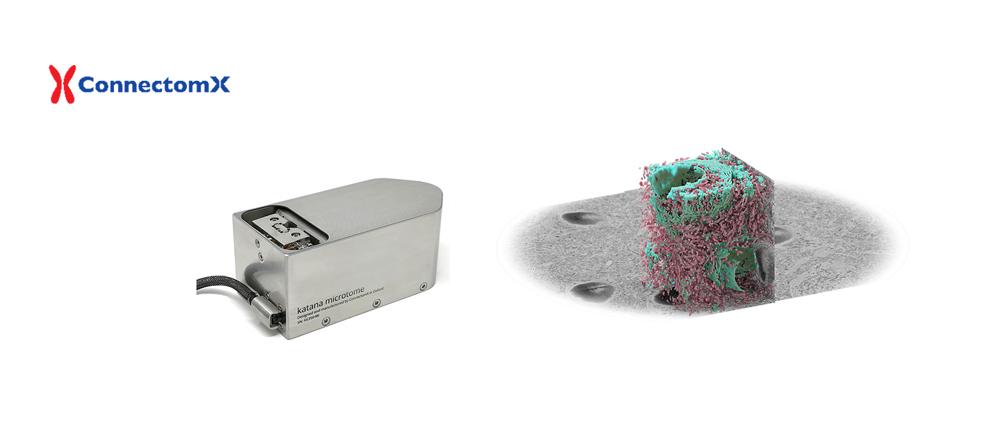 Connectomx