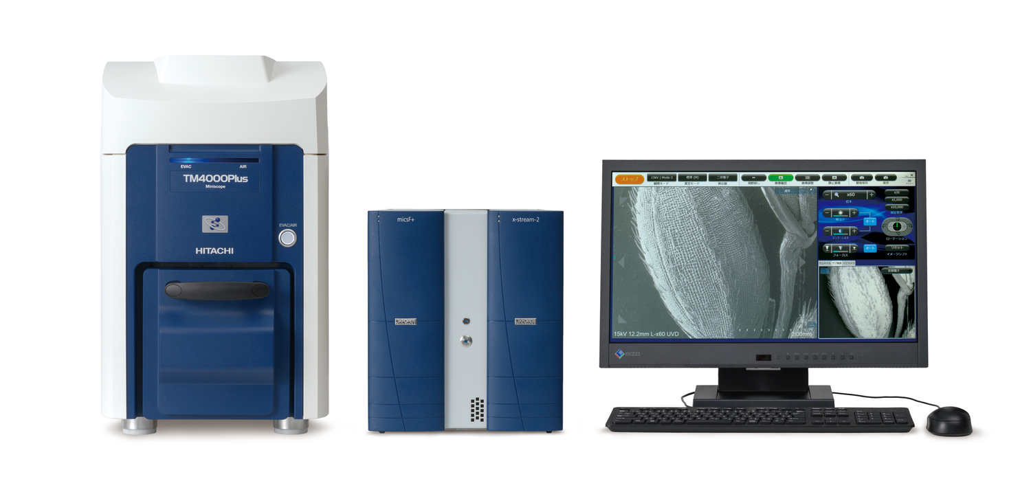Tabletop SEM