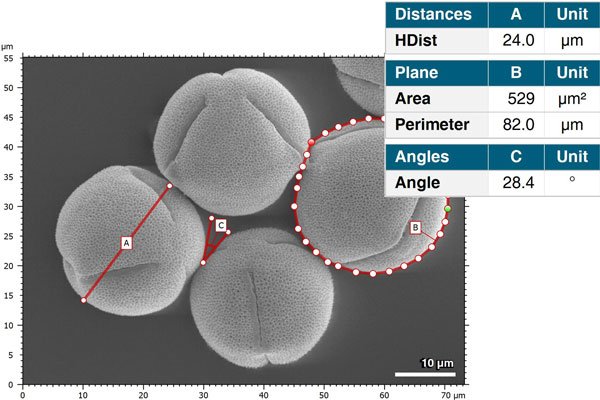 Measurements in SEM