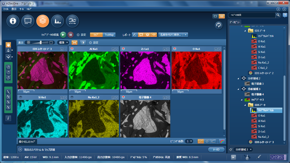 Sem Gui FlexSEM1000 II Compact Scanning Electron Microscope (SEM)