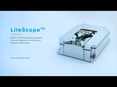 LiteScope AFM-in-SEM